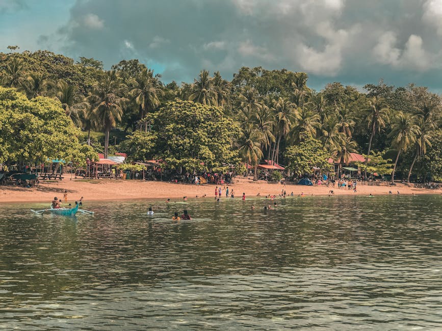 Serene tropical beach with lush palms and people swimming on a sunny day