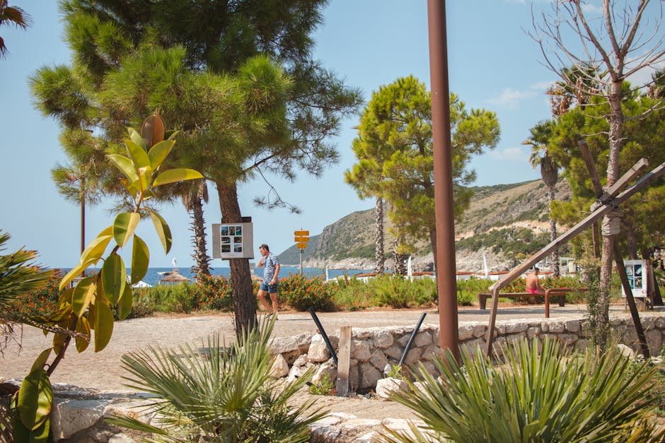 Relaxing seaside promenade in Vlorë County, Albania with lush trees and stone walls